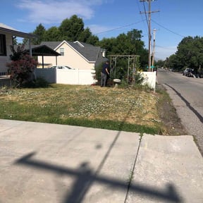 Bush Trimming by Ohio grass barbers reviewed on June 15, 2025