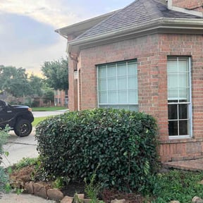Bush Trimming by Pinnacle Maintenance Group reviewed on July 12, 2026