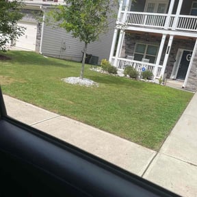 Bush Trimming by LG Lawn Services reviewed on August 20, 2025