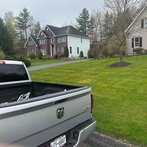 landscaping services by BB United reviewed on August 17, 2025