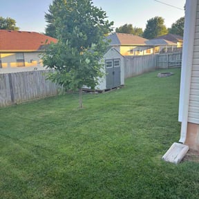 Tree Care by K and G lawncare reviewed on August 21, 2025