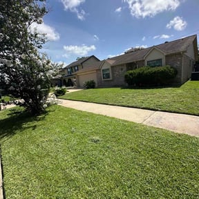 Long Grass Cleanup by Proper Lawn Care Co reviewed on August 17, 2025