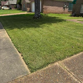 yard care by Bowes Lawn Care LLC reviewed on November 21, 2025