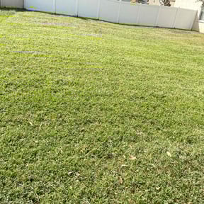 yard care by FL Lawn Rangers LLC reviewed on March 13, 2026