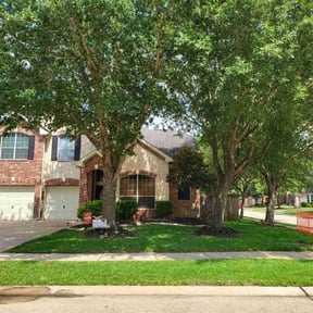 yard maintenance by D Taylor's Property services reviewed on August 16, 2025