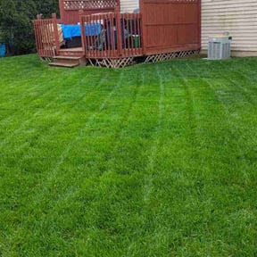 yard work by Midwest Mowing reviewed on November 25, 2025