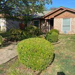 Bush Trimming by MartÃnez landscaping reviewed on August 21, 2025