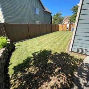 turf care by Undercut Lawn Care reviewed on September 6, 2024