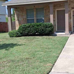 Bush Trimming by CB landscaping reviewed on December 2, 2025