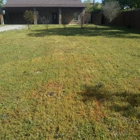 Bush Trimming by William McGuire lawn care reviewed on August 16, 2025
