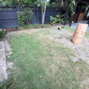 Leaf Removal by Lawn Cares reviewed on July 31, 2026