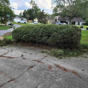 Bush Trimming by Kuttengrass356 llc reviewed on August 16, 2025