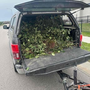 Bush Trimming by Eco Landscape &amp; Design reviewed on November 5, 2025