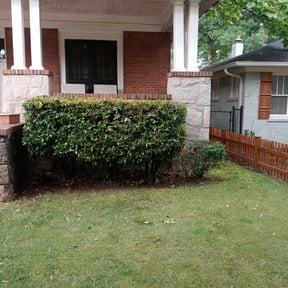 Bush Trimming by K2 landscape and maintenance reviewed on August 16, 2025