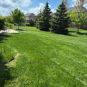 residential landscaping by Texas lawn pro reviewed on November 24, 2025