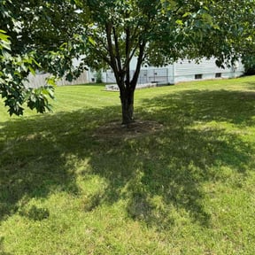 residential landscaping by RPM Lawncare reviewed on August 18, 2025