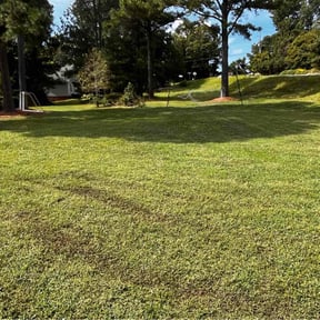 lawn care by Lawnspire reviewed on April 9, 2024