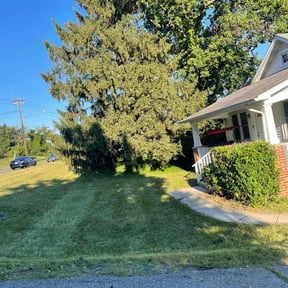 Bush Trimming by GreenEdge Lawn Care reviewed on June 26, 2026