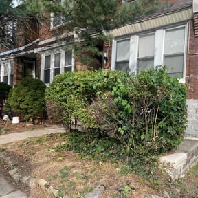 Bush Trimming by Arturo reviewed on October 19, 2025