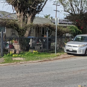 Bush Trimming by Arctic Green Lawn & Landscape LLC reviewed on August 17, 2025