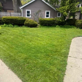 landscape maintenance by A&amp;M reviewed on August 16, 2025