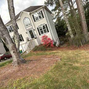 Leaf Removal by Lush Landscapes904 reviewed on March 28, 2026