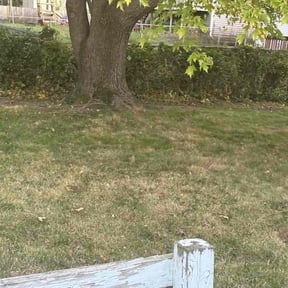 lawn care by Gods Creation reviewed on August 13, 2025