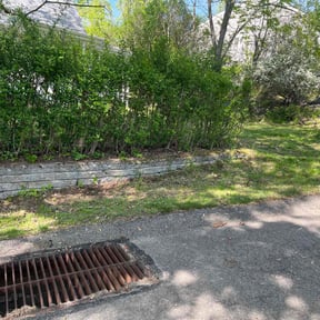 Leaf Removal by CCs lawncare reviewed on October 1, 2025