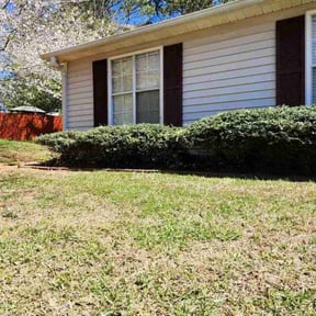 Bush Trimming by AAA Outdoor Services reviewed on August 21, 2025