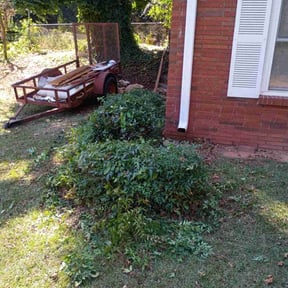 Bush Trimming by 1982 Lawn Service reviewed on October 20, 2025