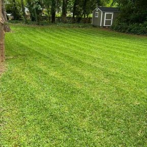 gardening service by Chris Wimler reviewed on August 19, 2025