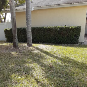 Bush Trimming by Great Earth Property Maintenance reviewed on August 19, 2025