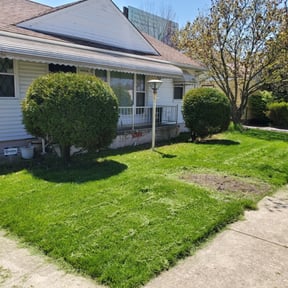 Bush Trimming by R&amp;L Lawn care reviewed on May 9, 2025