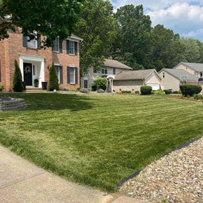 landscaping by Y&R reviewed on August 18, 2025