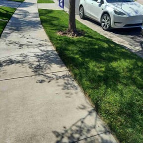 grass cutting by My Dad Can reviewed on March 18, 2025