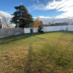 Leaf Removal by Mejia landscaping reviewed on December 9, 2025