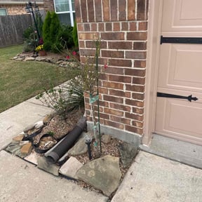 Bush Trimming by All Seasons Landscape &amp; Hauling reviewed on December 16, 2025