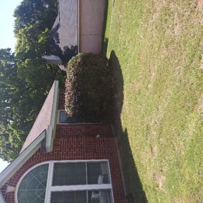 Bush Trimming by Forest Green Lawn & Landscaping, LLC reviewed on August 17, 2025