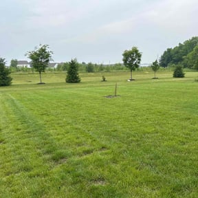 grass cutting by Father and son handyman reviewed on August 20, 2025
