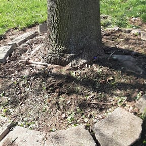 Flower Bed Weeding by K&K Green Grass reviewed on August 15, 2025