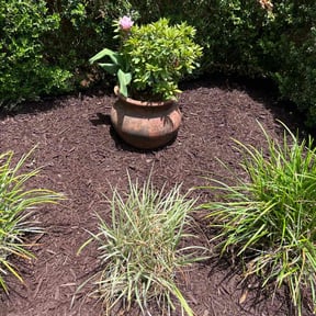 Mulching by Jays lawn Scape reviewed on August 18, 2025