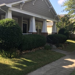 Bush Trimming by N.A.L Landscaping and Services LLC reviewed on August 20, 2025