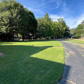 yard service by MagnoliaOne Lawn Care reviewed on August 16, 2025