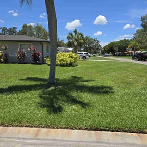 landscape maintenance by New Beginning Landscaping reviewed on November 18, 2025