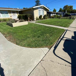 yard maintenance by Ascension Care, LLC. reviewed on August 20, 2025