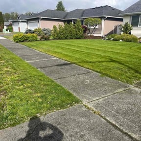 gardening service by The mower guys reviewed on August 15, 2025