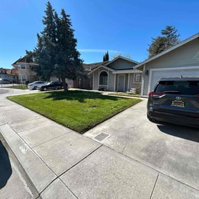 yard care by Best of Pros Lawn Service reviewed on August 17, 2025