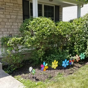 Bush Trimming by Arts Landscaping & Maintenance reviewed on August 18, 2025