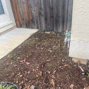 Flower Bed Weeding by Black Lab Lawn Care reviewed on August 21, 2025