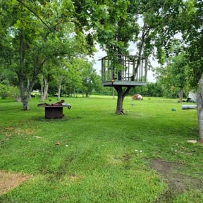 landscaping services by CC Landscaping Services LLC reviewed on August 19, 2025